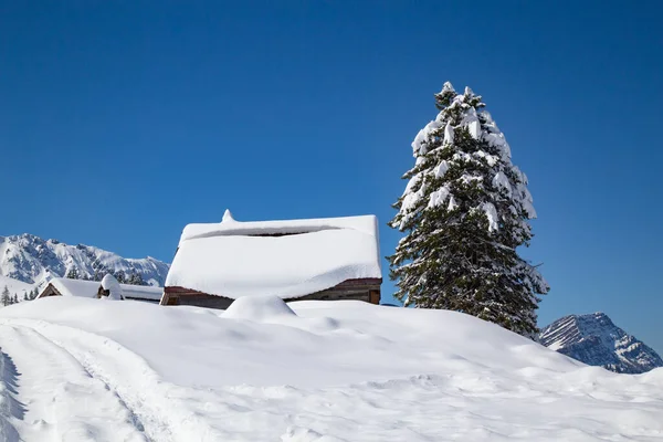 Inverno Sulle Alpi Svizzere Vicino Monte Santis Svizzera — Foto Stock