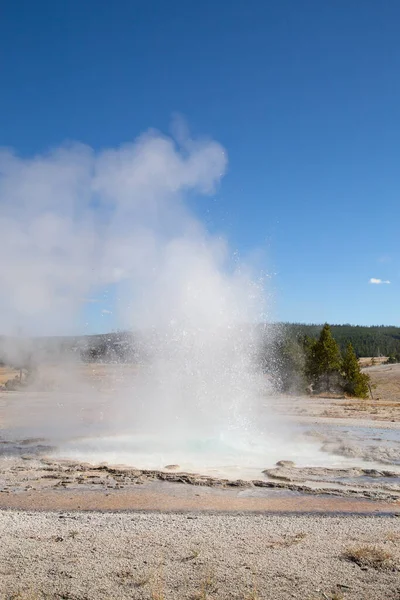 Έκρηξη Geyser Στο Εθνικό Πάρκο Yellowstone Ηπα — Φωτογραφία Αρχείου