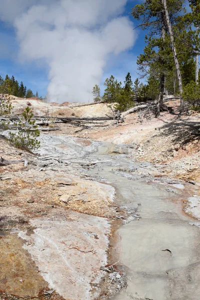 Norris Gayzer Havzası Yellowstone Ulusal Parkı Abd — Stok fotoğraf