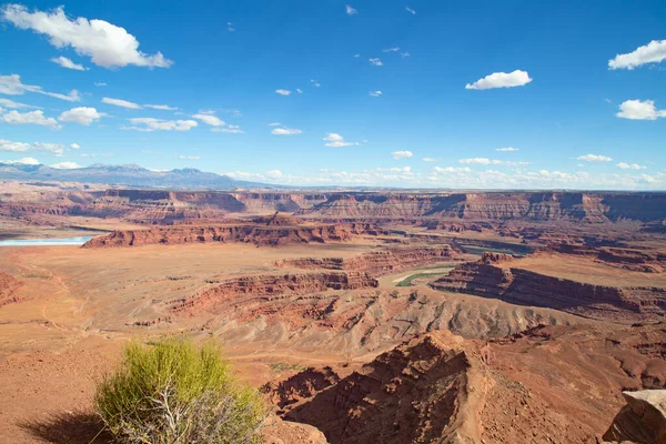 Insel Des Himmels Canyonlands Narional Park Utah Usa — Stockfoto