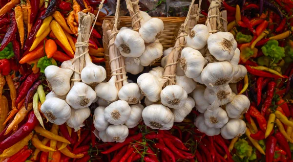 Raccolta Del Peperoncino Secco Spezie Cibo Erbe Natrural — Foto Stock