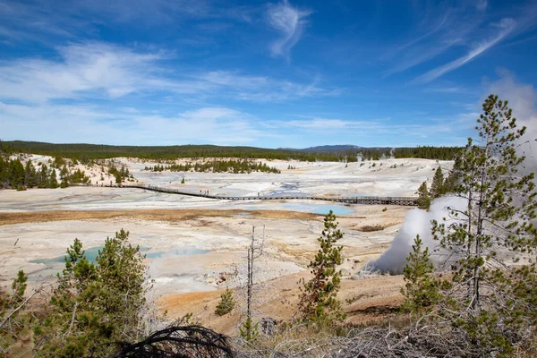 Cuenca Del Géiser Norris Parque Nacional Yellowstone Estados Unidos — Foto de Stock