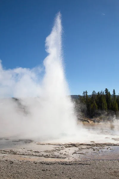 Eruzione Geyser Nel Parco Nazionale Yellowstone Usa — Foto Stock