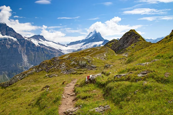 Podzimní Krajina Oblasti Jungfrau — Stock fotografie