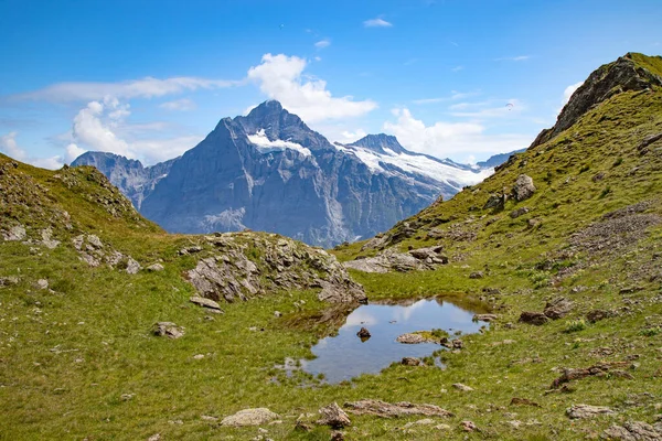 Jungfrau Bölgesinde Sonbahar Manzarası — Stok fotoğraf