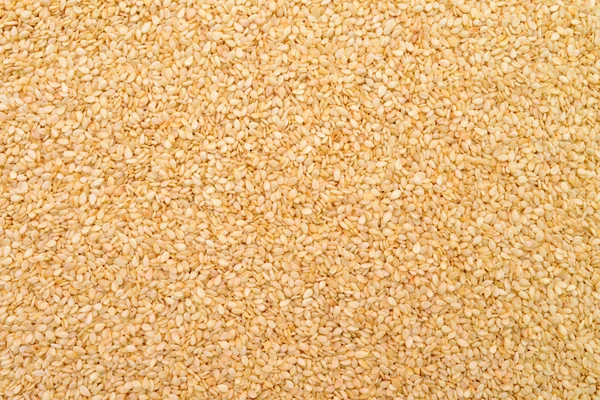 Sesame seed texture — Stock Photo, Image