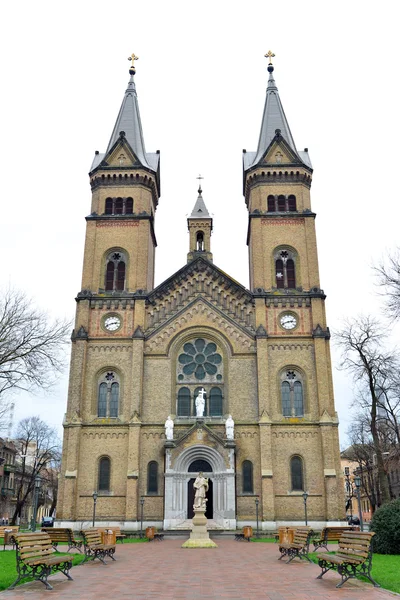 Timisoara Chiesa del Millennio — Foto Stock