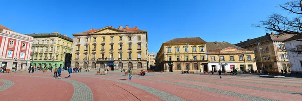 Timisoara Özgürlük Meydanı Panoraması — Stok fotoğraf