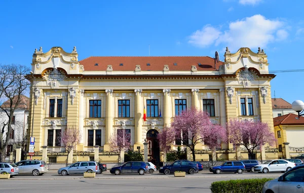 布加勒斯特罗马尼亚国家银行 — 图库照片