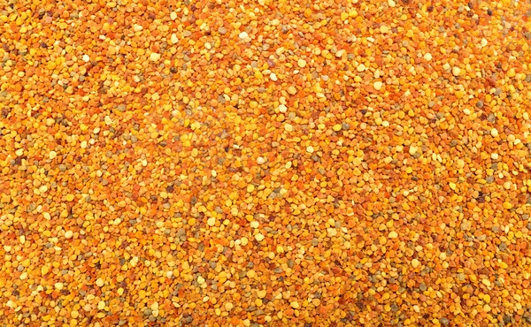 Textura de grãos de pólen — Fotografia de Stock