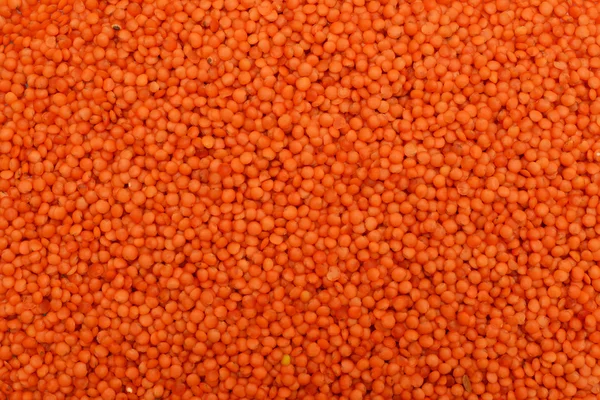 Textura de sementes de lentilha vermelha — Fotografia de Stock