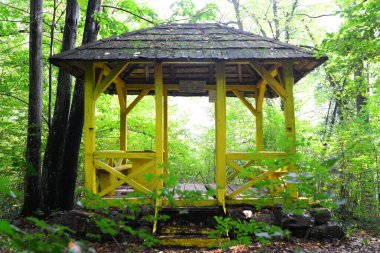 Baile Herculane Sarı Gözetleme Kulesi