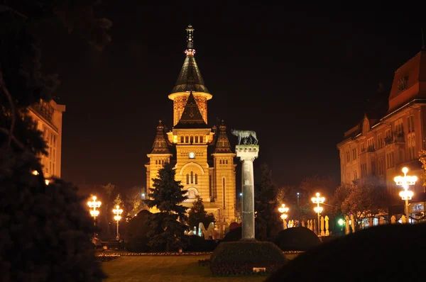 Timisoara kathedraal — Stockfoto