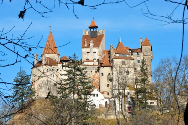 Bran castle — Stock Photo, Image