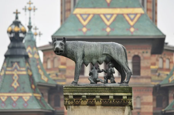 Romulus i Remus statua — Zdjęcie stockowe