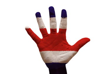 Palm bayrak Kosta Rika