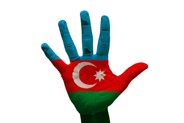 Palm flag azerbaijan — стоковое фото