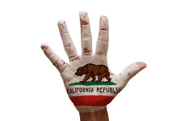 Bandiera di palma california — Foto Stock