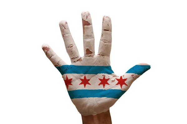 Bandiera di palma chicago — Foto Stock