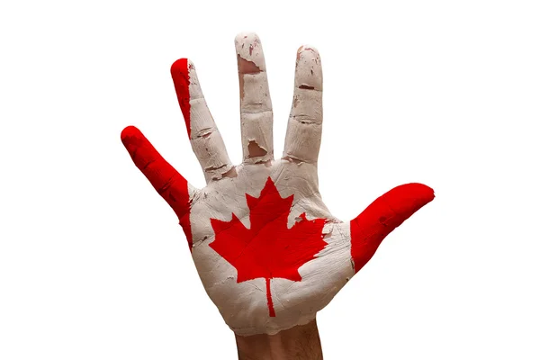 Palm vlag canada — Stockfoto