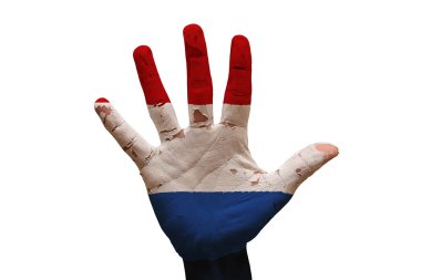 Palm Hollanda bayrağı