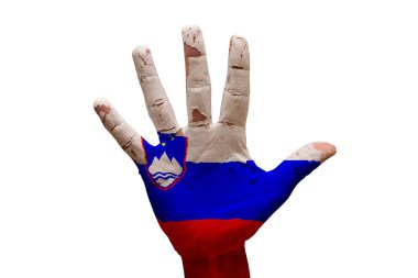 Palm bayrak Slovenya