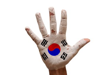 bayrak Güney Kore palmiye