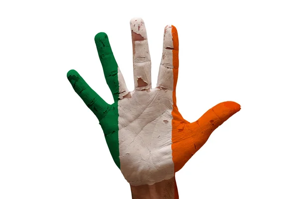 Palm vlag Ierland — Stockfoto