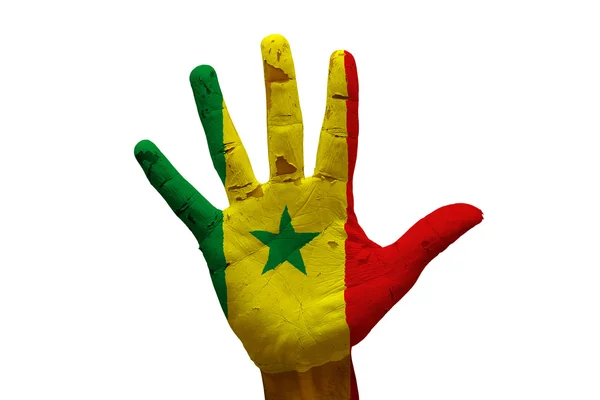 Palm flag senegal — Stock Photo, Image