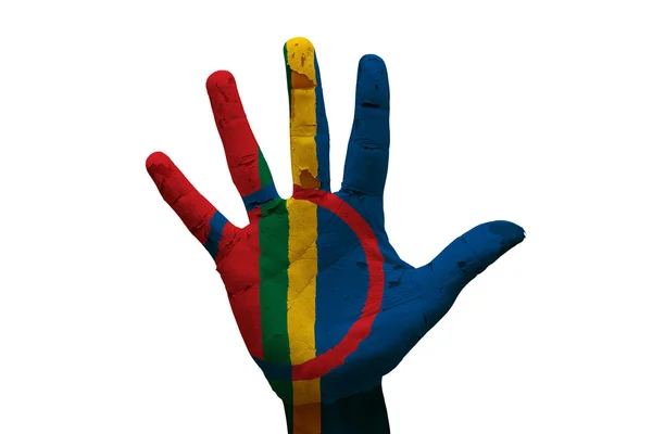 Palm sami bayrak — Stok fotoğraf