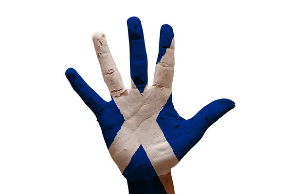 Palm flag Skotlandia — Stok Foto