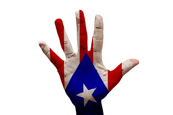 Palm flag puerto rica — Stock Photo, Image