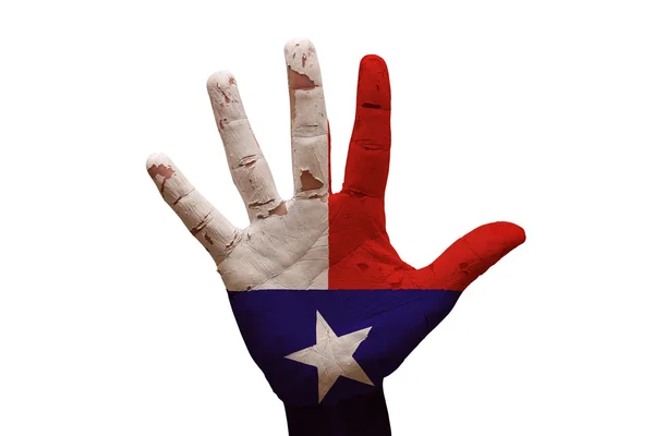 Palm vlag (Texas) — Stockfoto