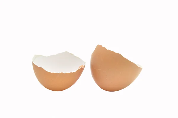 Eggshells — Stock Photo, Image