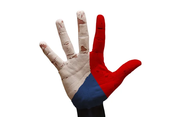 Palm bayrak Çek Cumhuriyeti — Stok fotoğraf