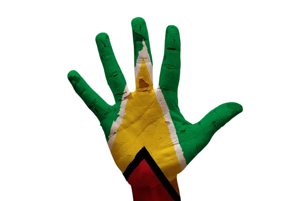 Bandera de palma guyana — Foto de Stock