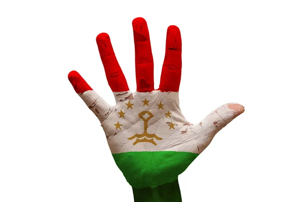 Bandiera di palma tajikistan — Foto Stock