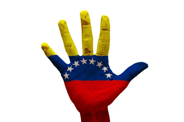 Palma bandeira venezuela — Fotografia de Stock