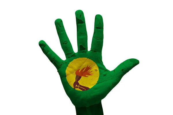 Kongo i håndflateflagg – stockfoto