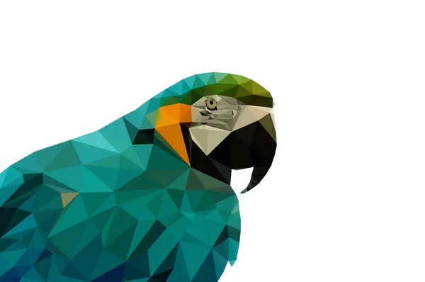 Parrot laag poly — Stockfoto