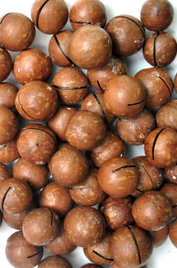 macadamias