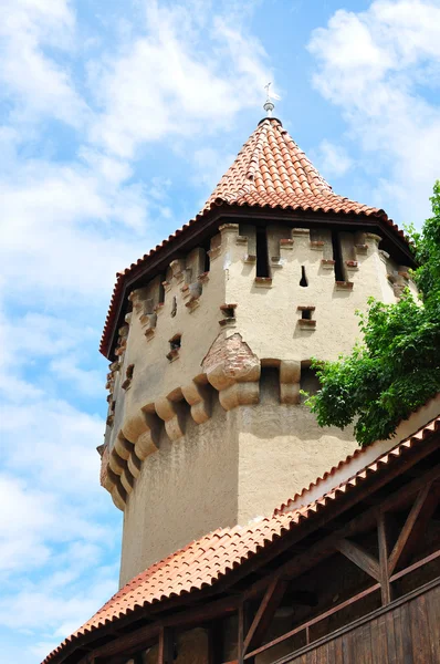 Torre de carpinteros — Foto de Stock