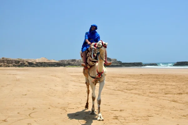 Berbere em camelo — Fotografia de Stock