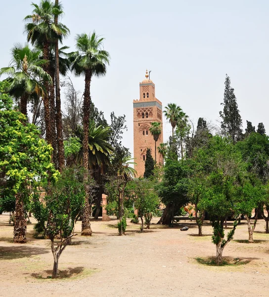 Koutoubia Mosque garden — Stock Photo, Image