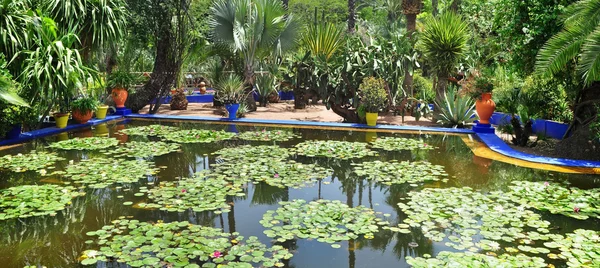 Zahradní jezírka Majorelle — Stock fotografie