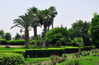 Koutoubia Gardens