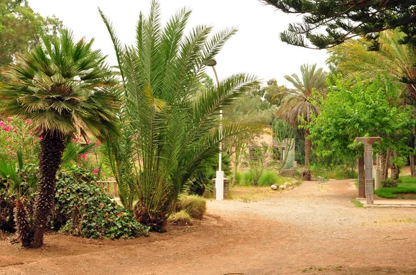 Parque Olhao — Foto de Stock