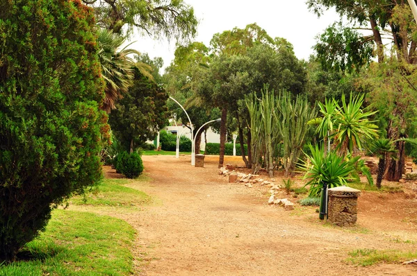 Olhao-park — Stockfoto