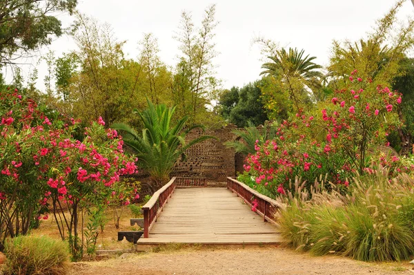 Parque Olhao — Foto de Stock