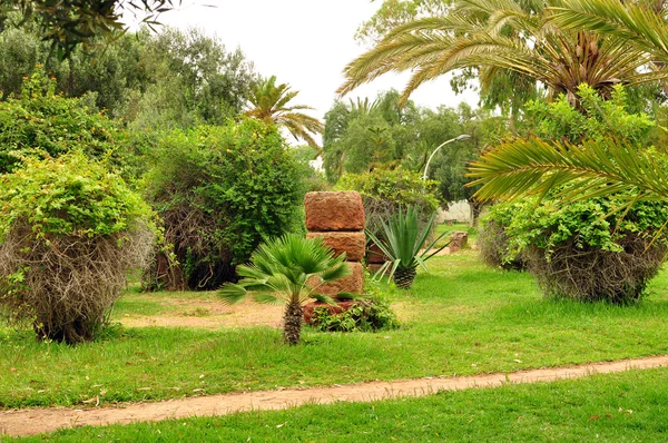 Olhao park — Stock Fotó